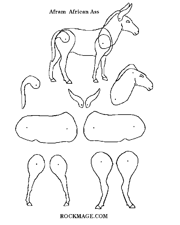 [African Ass/Afram (pattern)]